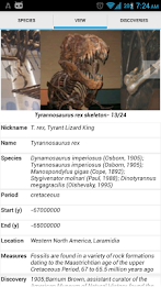 Sapiens -Archaeology & History poster 5