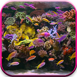 Aquarium Video Live Wallpaper Apk