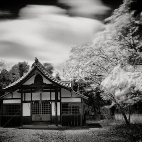 Sakura by Kurt K Gledhill - Buildings & Architecture Places of Worship