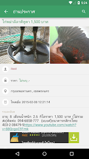 Lastest ตลาดสัตว์เลี้ยง นก ปลา วัว ไก่ APK