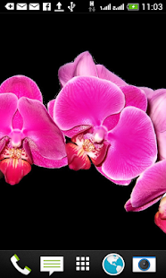 Lastest Orchids Shift Wallpaper Free APK for PC