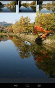 Japan :Autumn leaves of Ogura Screenshots 1