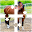 Puzzle Horses Download on Windows
