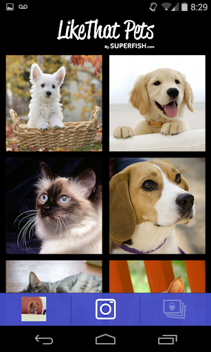 LikeThat Pets: Adopt a Pet