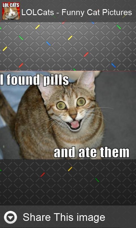 LOLCats - Funny cats pictures - screenshot