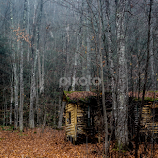 Lost Cabin by Dave Harrell -  