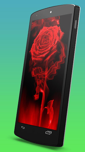 免費下載個人化APP|Red Rose Fire Live Wallpaper app開箱文|APP開箱王