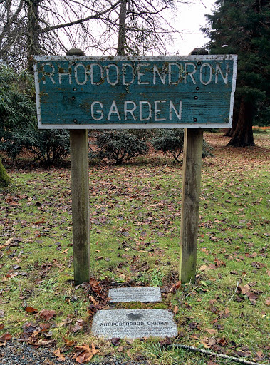 Rhododendron Garden