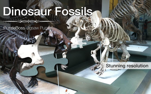 Dinosaur Fossils Jigsaws