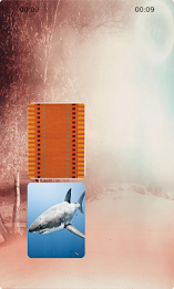 Shark Matching poster 1