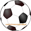 African Football 2013 logo