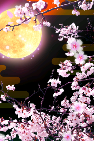 免費下載個人化APP|Cherry Blossoms at Night Trial app開箱文|APP開箱王