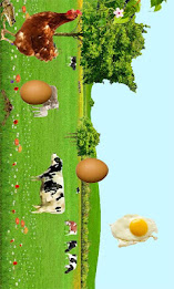 Flying Eggs poster 2