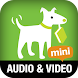 Add Audio and Video: TmMM