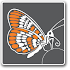 NEB Tools1.6.2