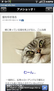 How to mod Cat Blog Collection patch 1.0.0 apk for bluestacks
