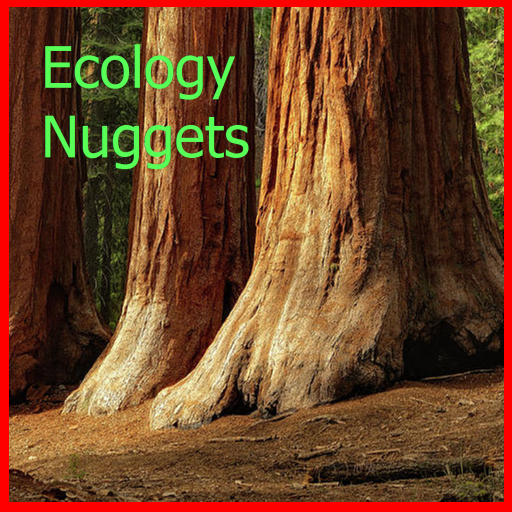 Ecology Nuggets LOGO-APP點子