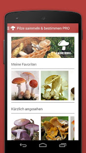 Pilze sammeln & bestimmen PRO(圖2)-速報App