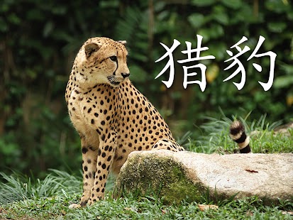 Download The Animals Book - Chinese APK for Android