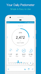 Accupedo Pedometer - Step Counter 1