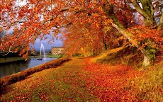 Autumn Live Wallpapersのおすすめ画像4