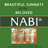 Beautiful Sunnah Application icon