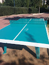 Tennis Table