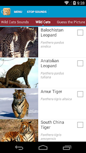 Wild Cats Sounds and Checklist(圖3)-速報App