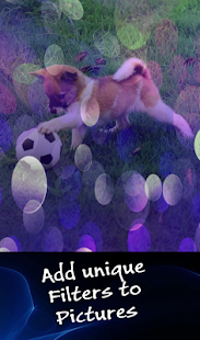 Free Photo Funia Effect APK for Android