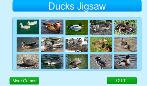 Ducks Jigsaw