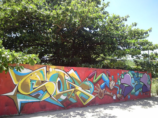 Punta Las Maria Skate Park Wall Art