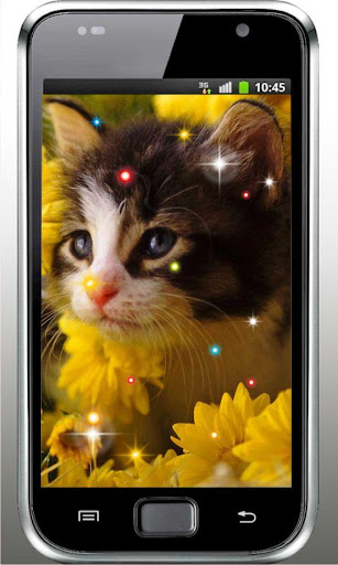 Hello Cute Kitty livewallpaper