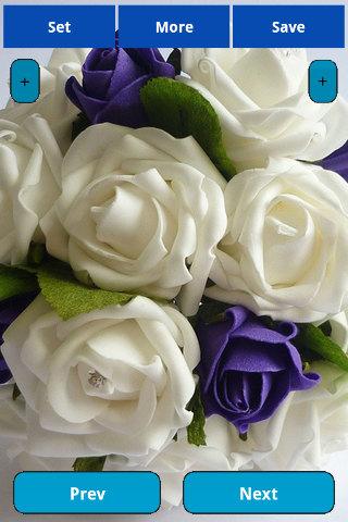 【免費娛樂App】Purple & white rose Wallpapers-APP點子