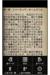 Etude of scarlet poster 3