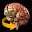 Brain 3D Anatomy Download on Windows