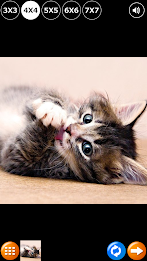 Tile Puzzle: Cute Kittens 2 poster 8