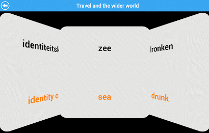 GCSE Dutch Vocab - OCR Lite poster 19