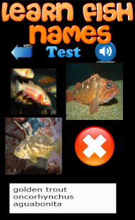 Learn Fish Names Screenshots 10