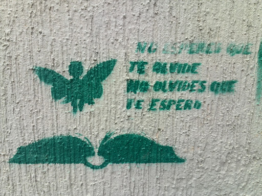 Graffiti Caobos