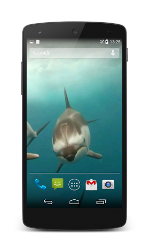 【免費個人化App】Dolphins Live Wallpaper-APP點子