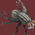 Fly Hack