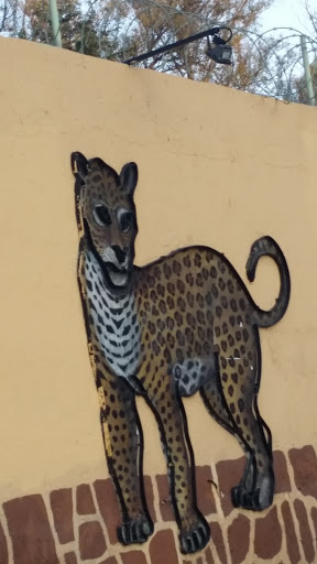 Mural Del Cheeta