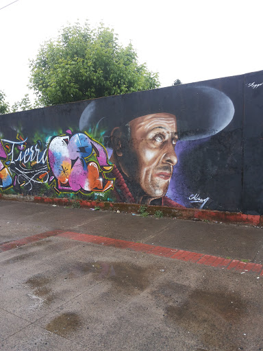 Graffiti El Señor Del Sur