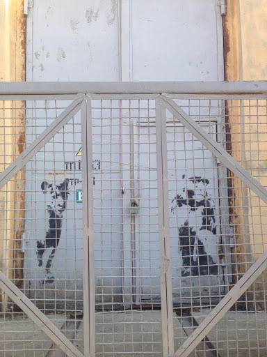 Zoo Graffiti