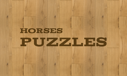 Horses Puzzles poster 1