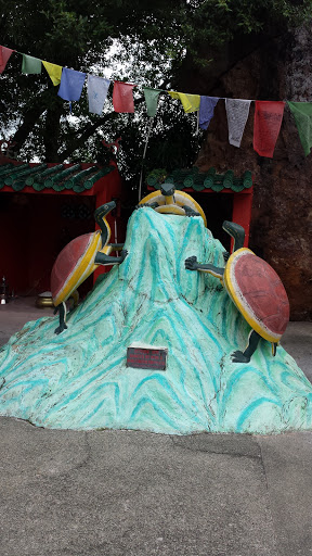 Mount Turtle Sculpture