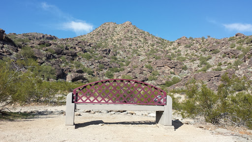 Desert Classic Bench