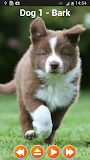 Dog Sounds Ringtones