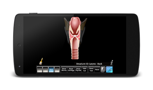 Larynx ID Screenshots 13