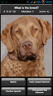 Dog Breed Quiz(圖3)-速報App